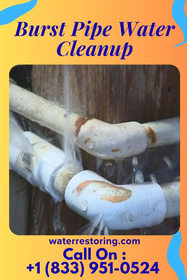 Burst Pipe Water Cleanup in Atkinson, IL