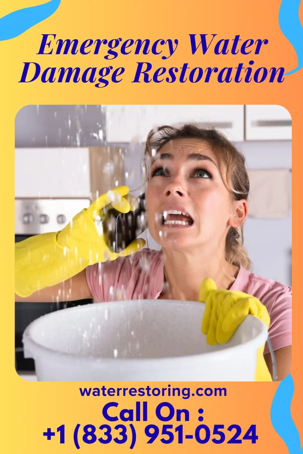 Emergency Water Damage Restoration in Atkinson, IL